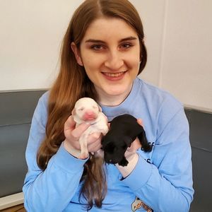 Meet your Posher, Emily